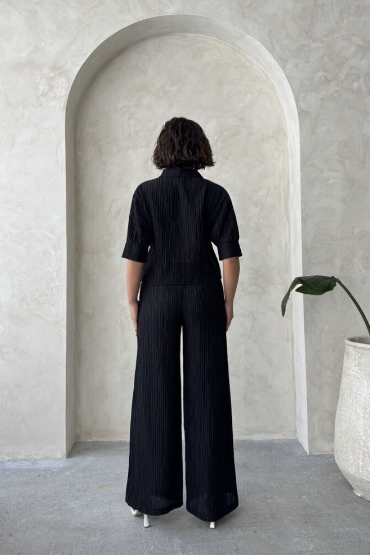Butterfly Detailed Pleated Shirt