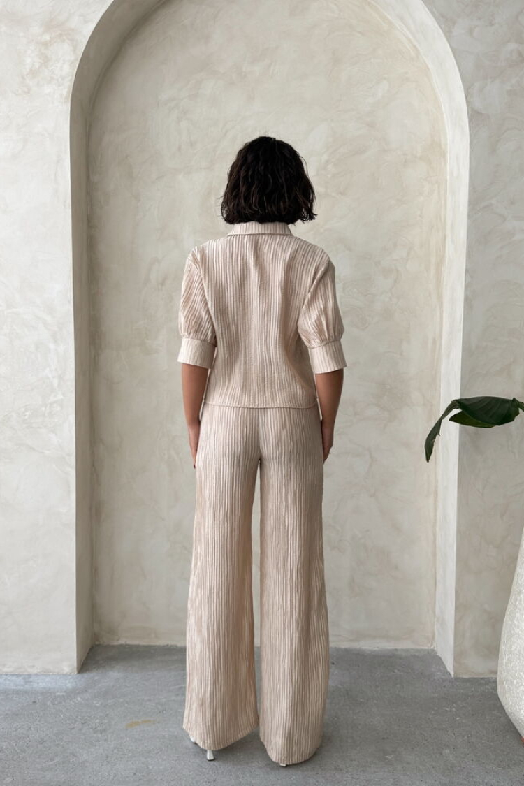Butterfly Detailed Pleated Shirt