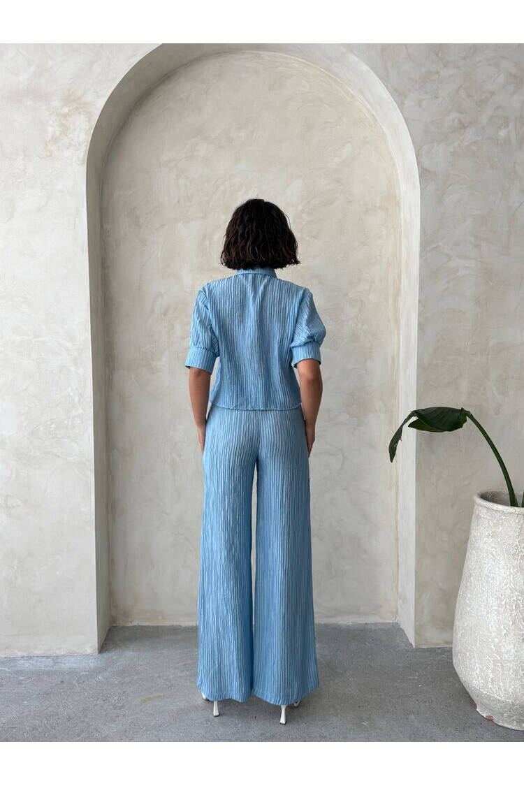 Butterfly Detailed Pleated Shirt