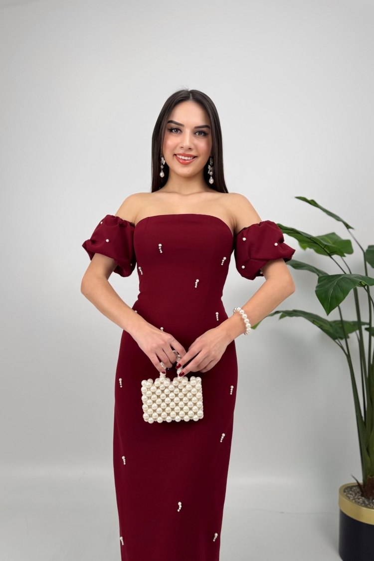 Prevents Pearl Detail Design Dress
