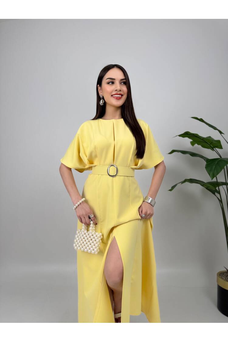 Atlas Fabric Belted Dress