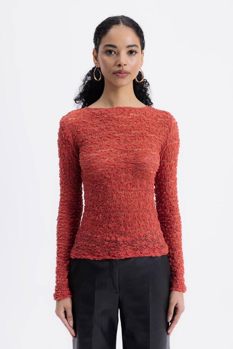 Transparent Lace Top