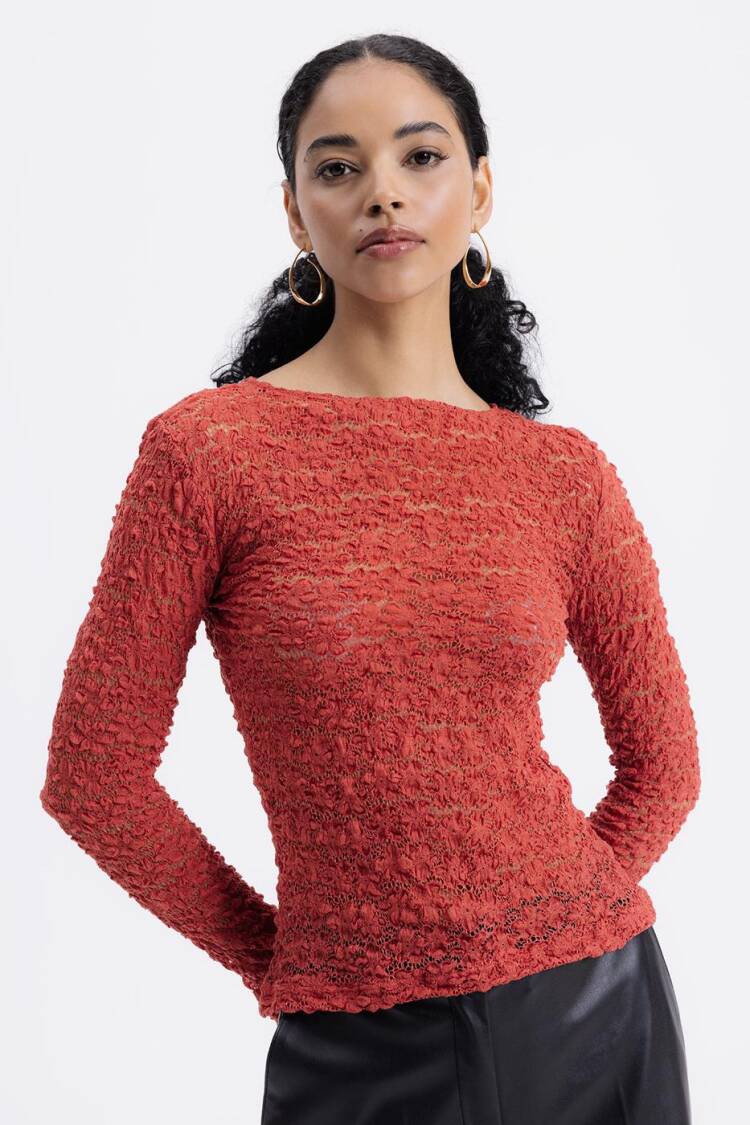 Transparent Lace Top