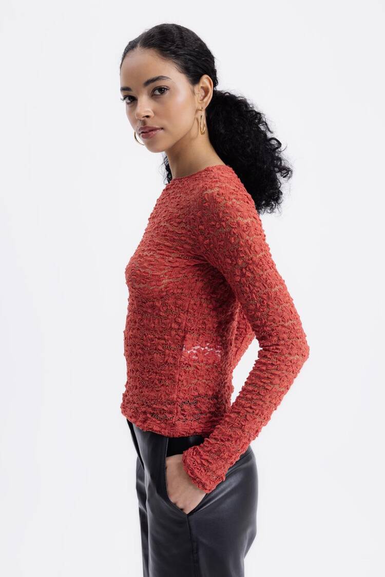 Transparent Lace Top