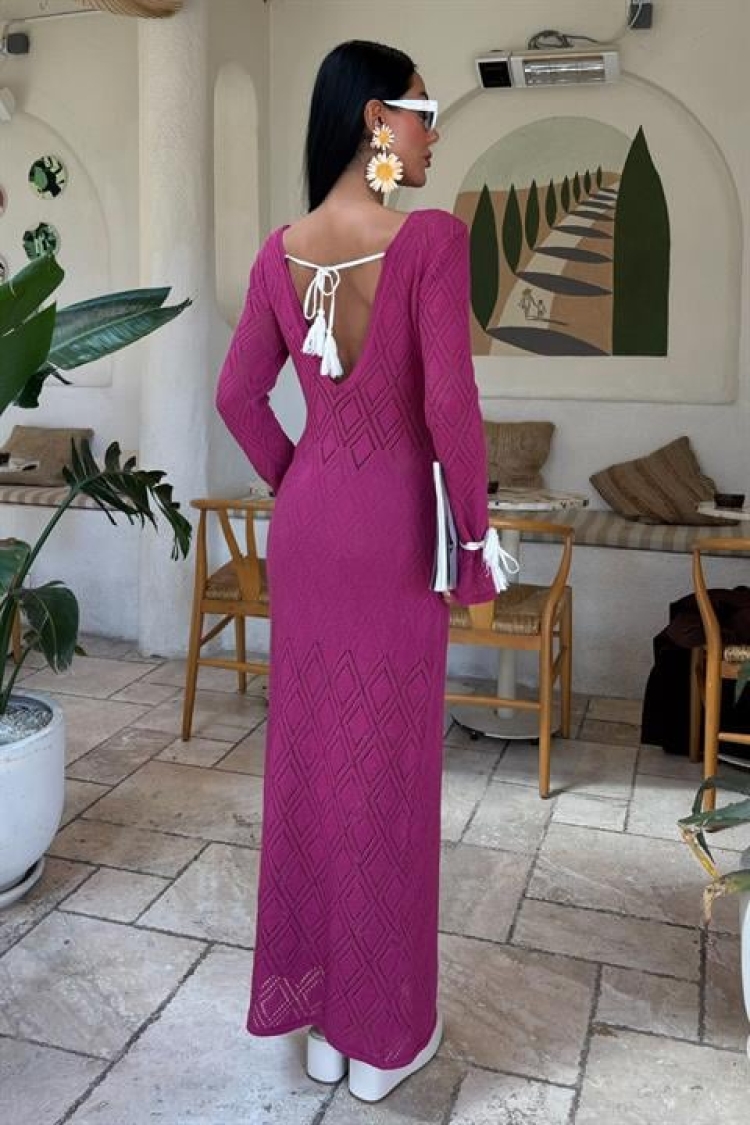 Tassel Lace Detailed V Neck Openwork Dress - Purple