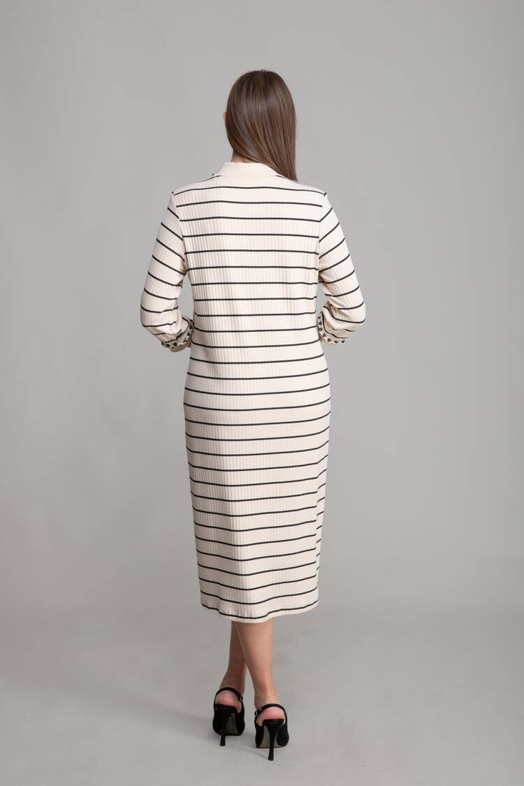 Shirt Collar Striped Dress - Multicolor