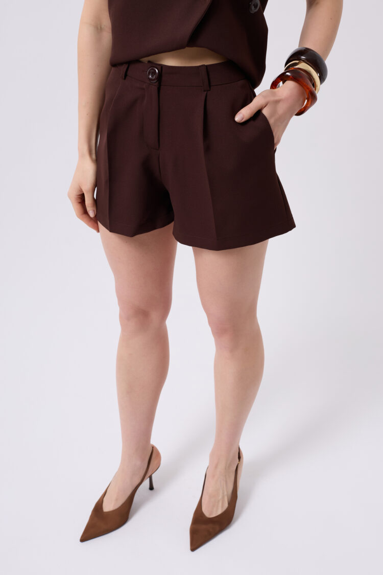 Pleated High Waist Shorts