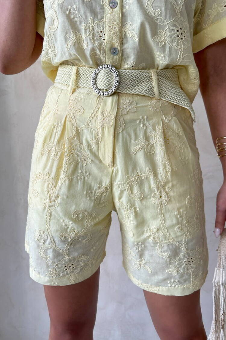 Embroidered Voile Shorts