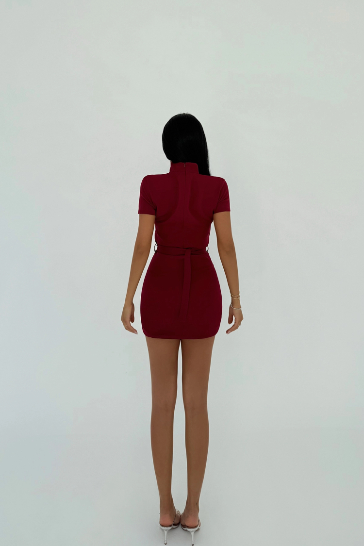 Burgundy Camilo Belted Dress