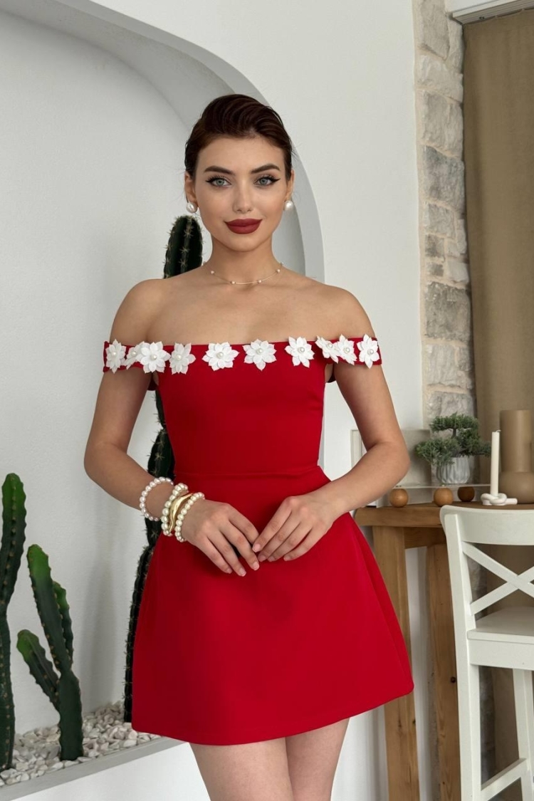 Alyosa Floral Detailed Dress