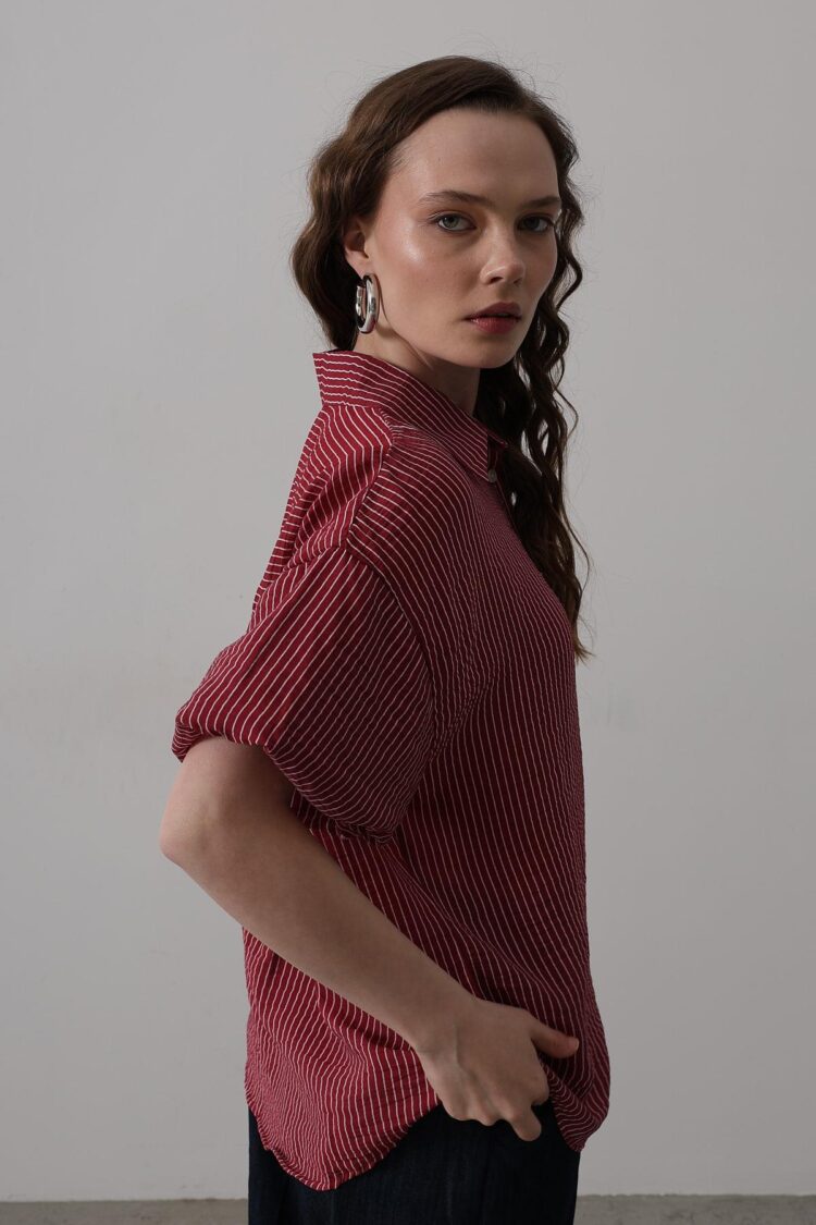 Half Balloon Sleeve Striped Shirt - Burgundy