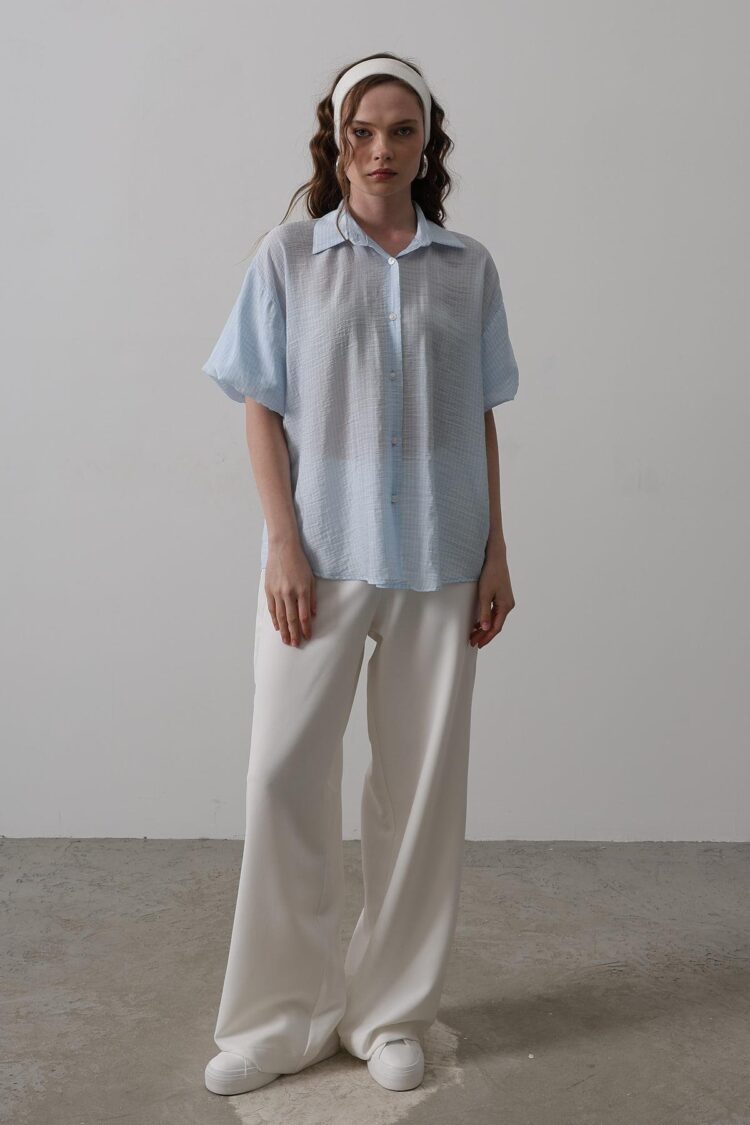Half Balloon Sleeve Striped Shirt