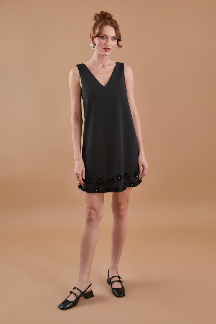 Floral Embroidery Detailed V Neck Mini Dress Black