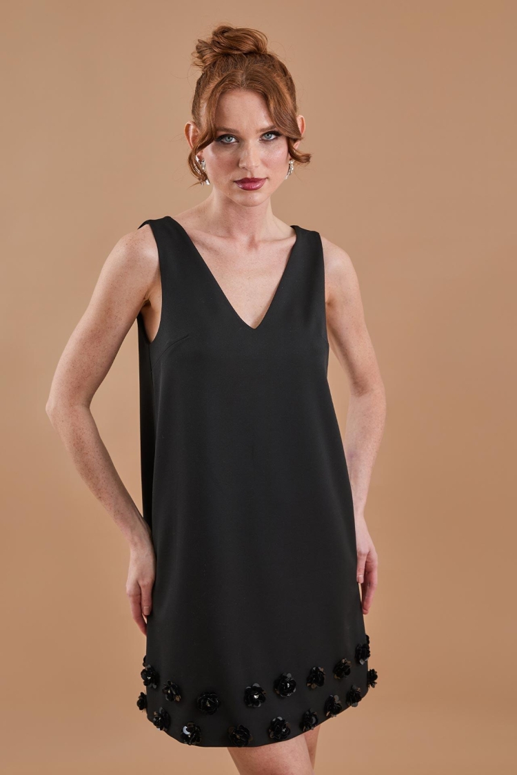 Floral Embroidery Detailed V Neck Mini Dress Black