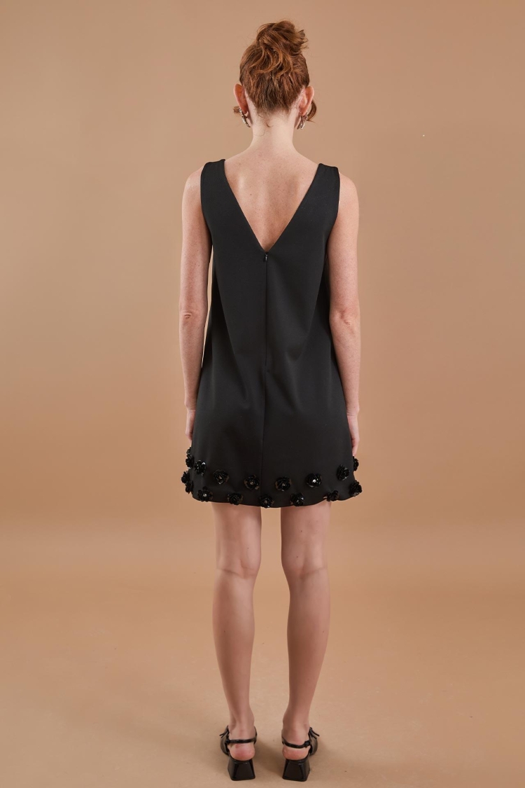 Floral Embroidery Detailed V Neck Mini Dress Black