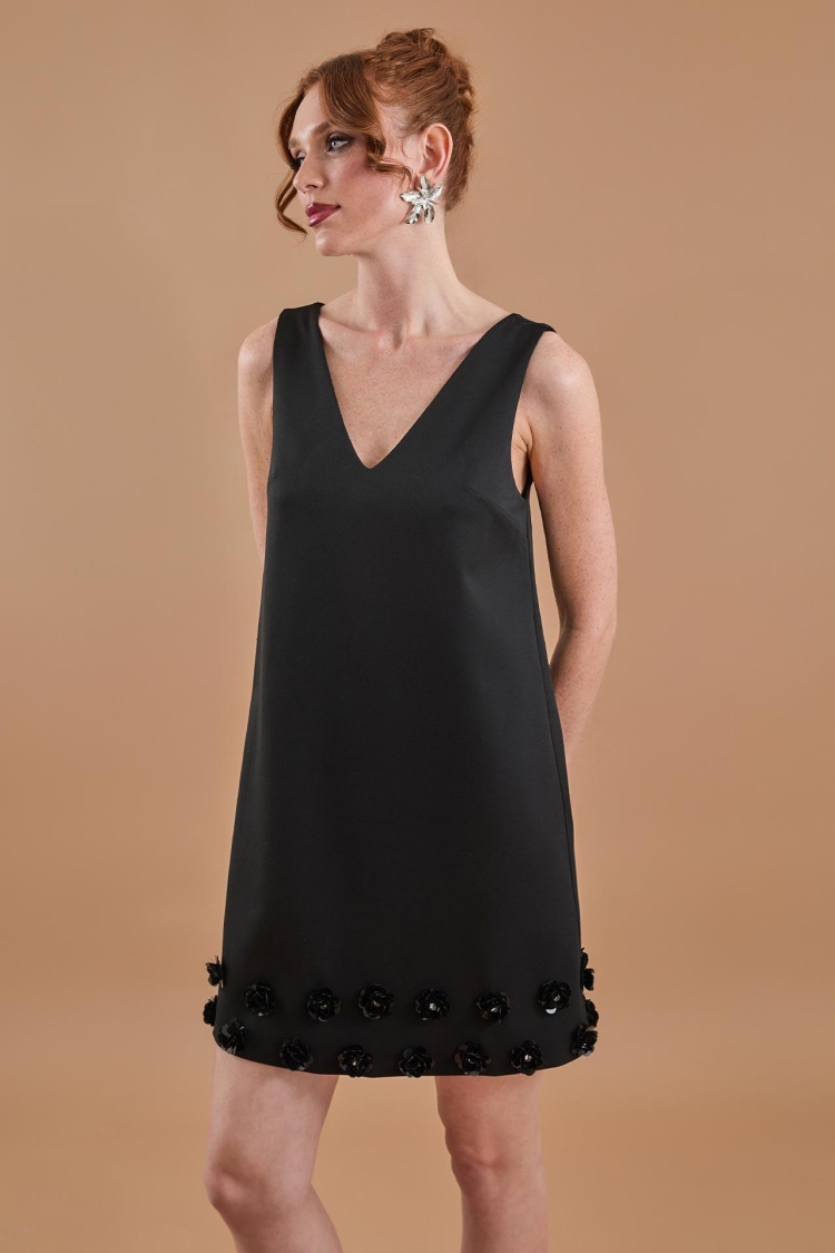 Floral Embroidery Detailed V Neck Mini Dress Black