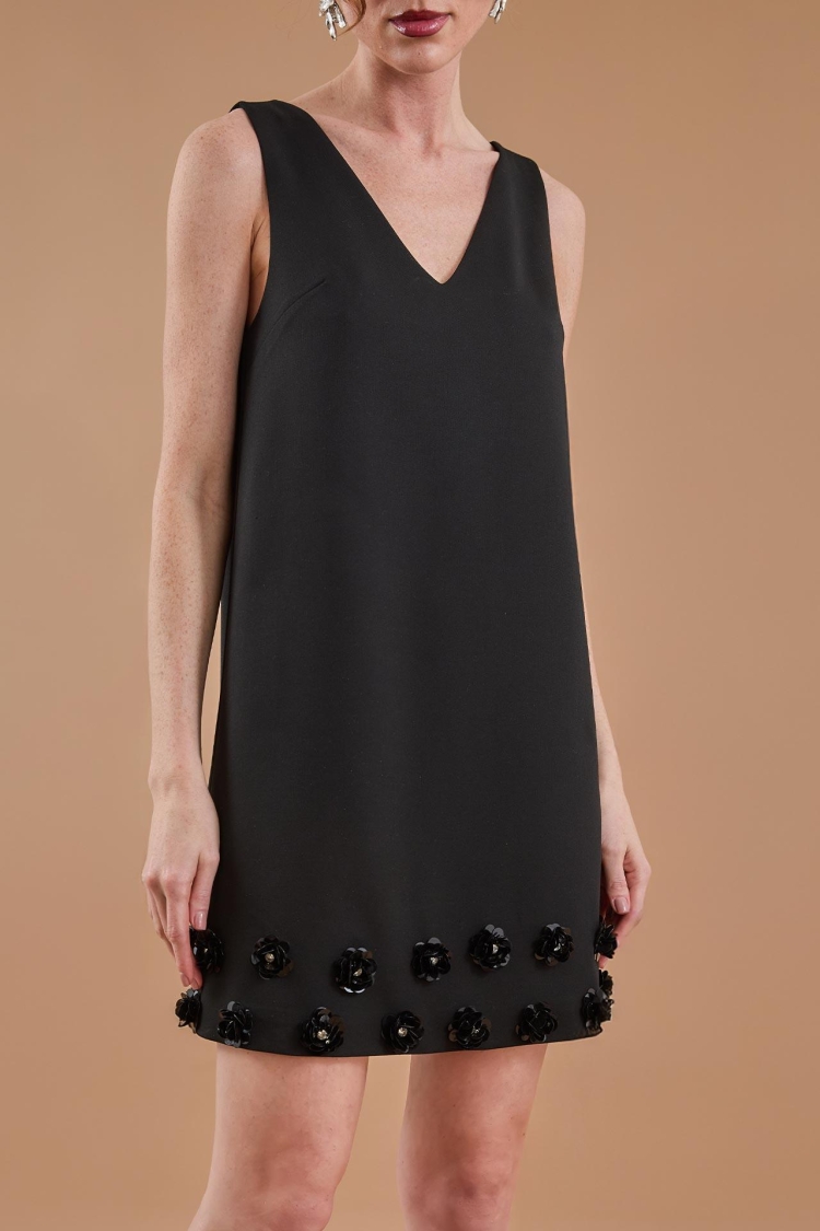 Floral Embroidery Detailed V Neck Mini Dress Black