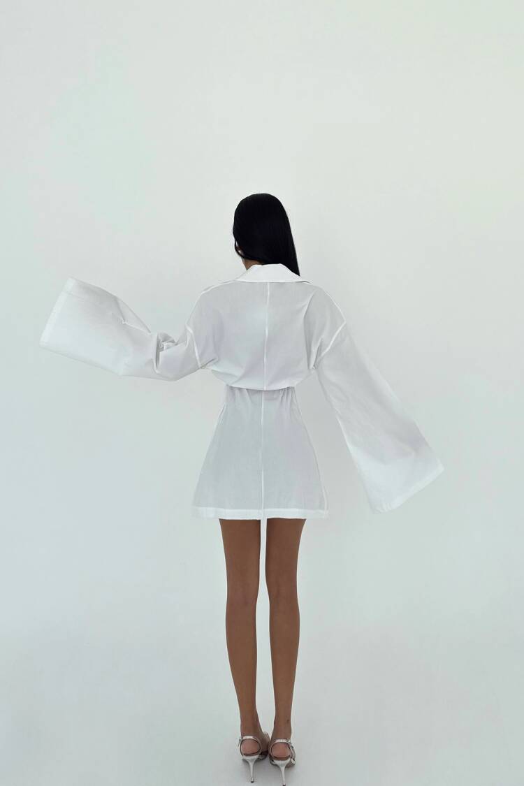 Shirt Collar Dress