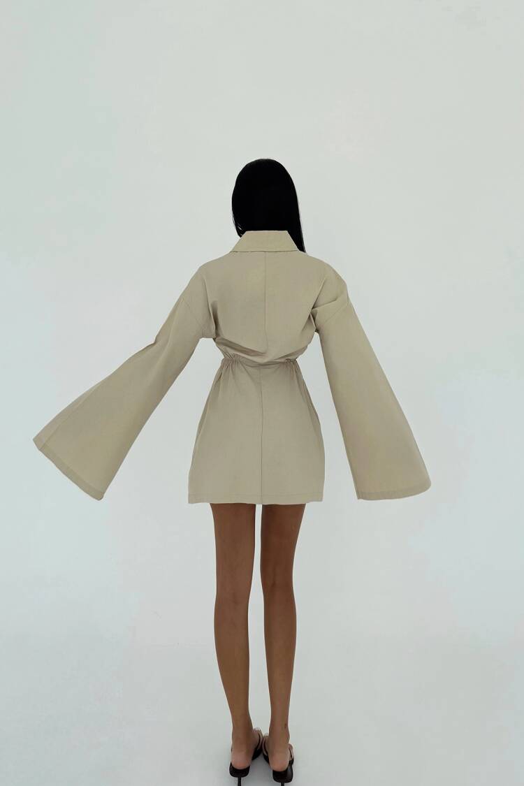 Shirt Collar Dress