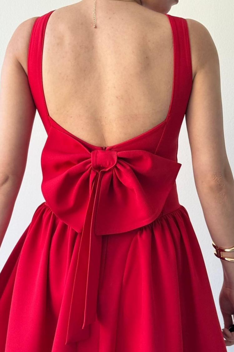 Dreas Bow Detailed Dress