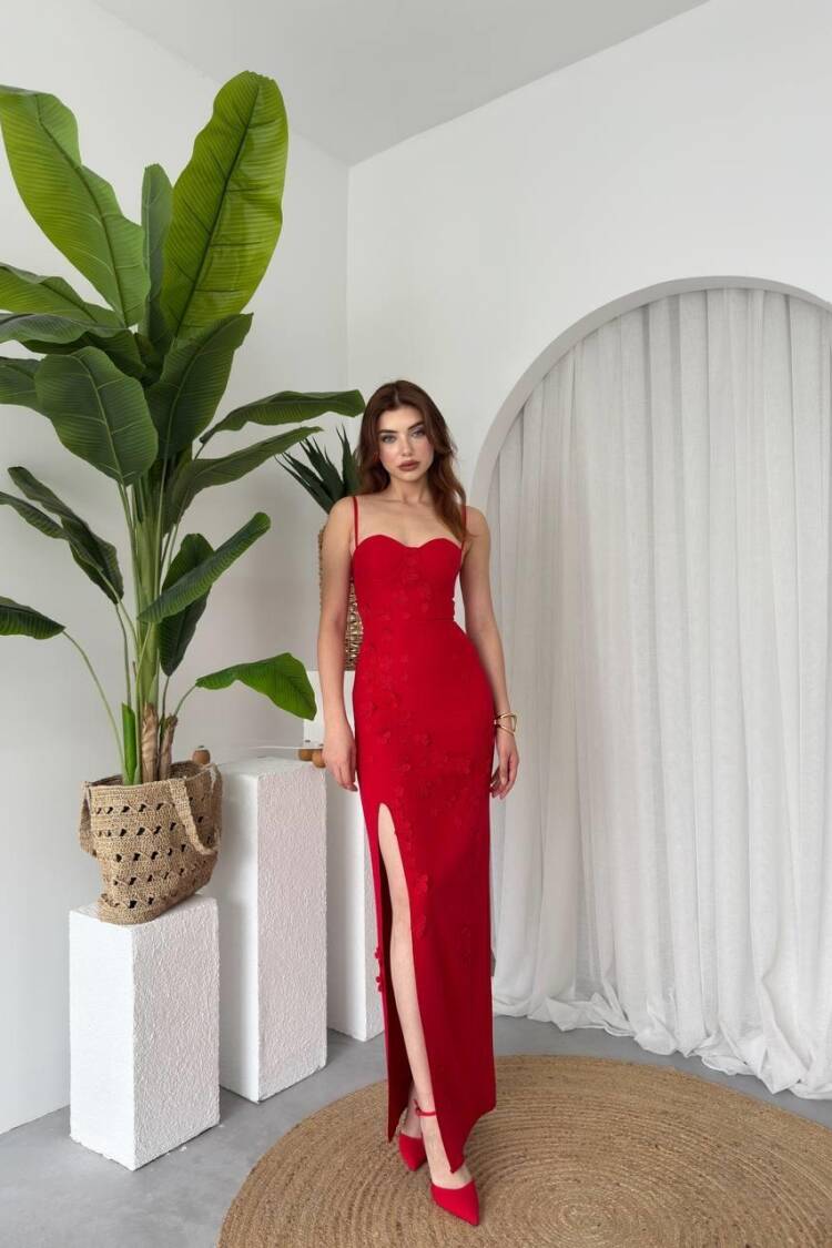 Roller Rose Detailed Dress