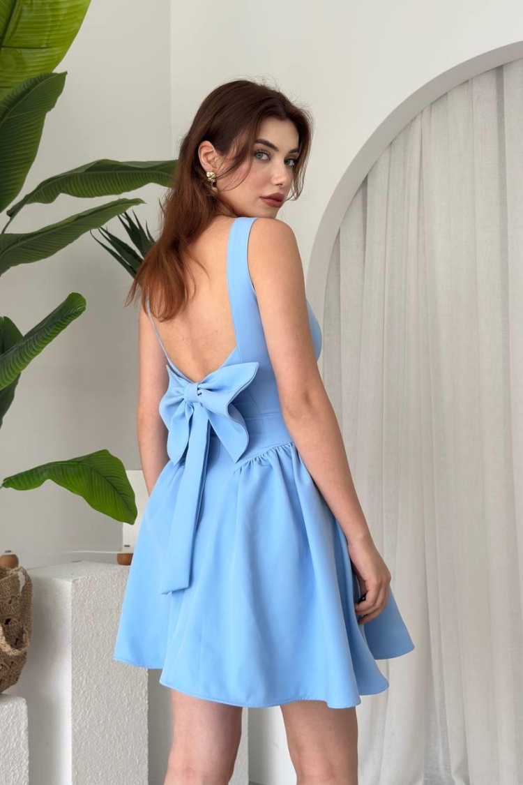Dreas Bow Detailed Dress