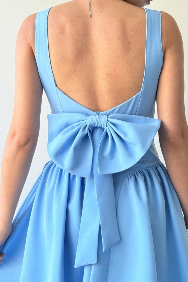 Dreas Bow Detailed Dress