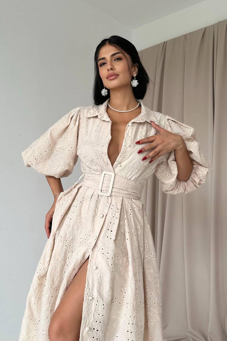 Balloon Sleeve Pleated Dress