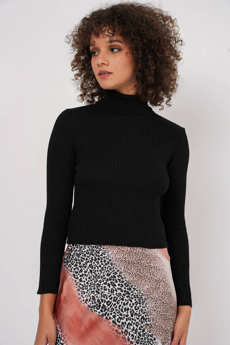 Turtleneck Knit Sweater