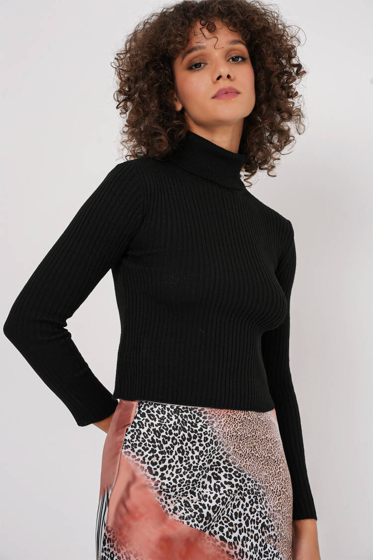 Turtleneck Knit Sweater