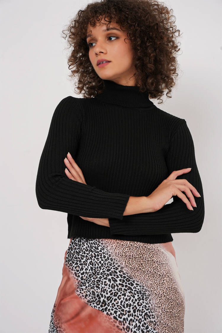 Turtleneck Knit Sweater
