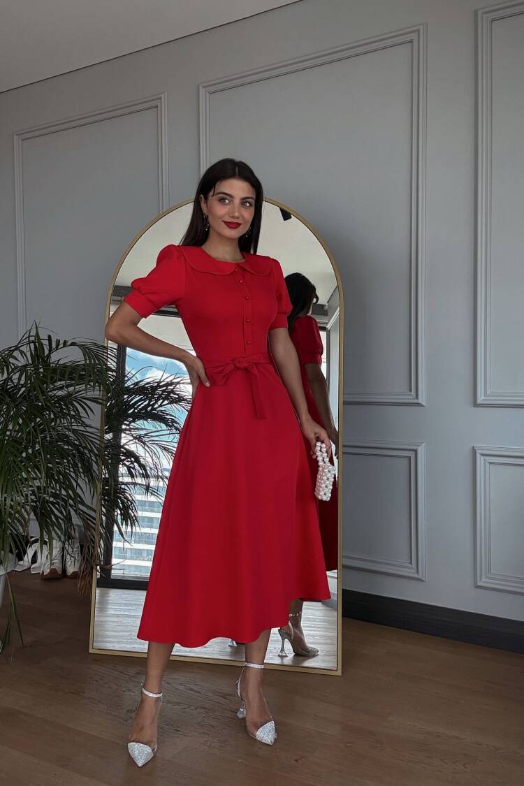 Baby Collar Belted Midi Dress