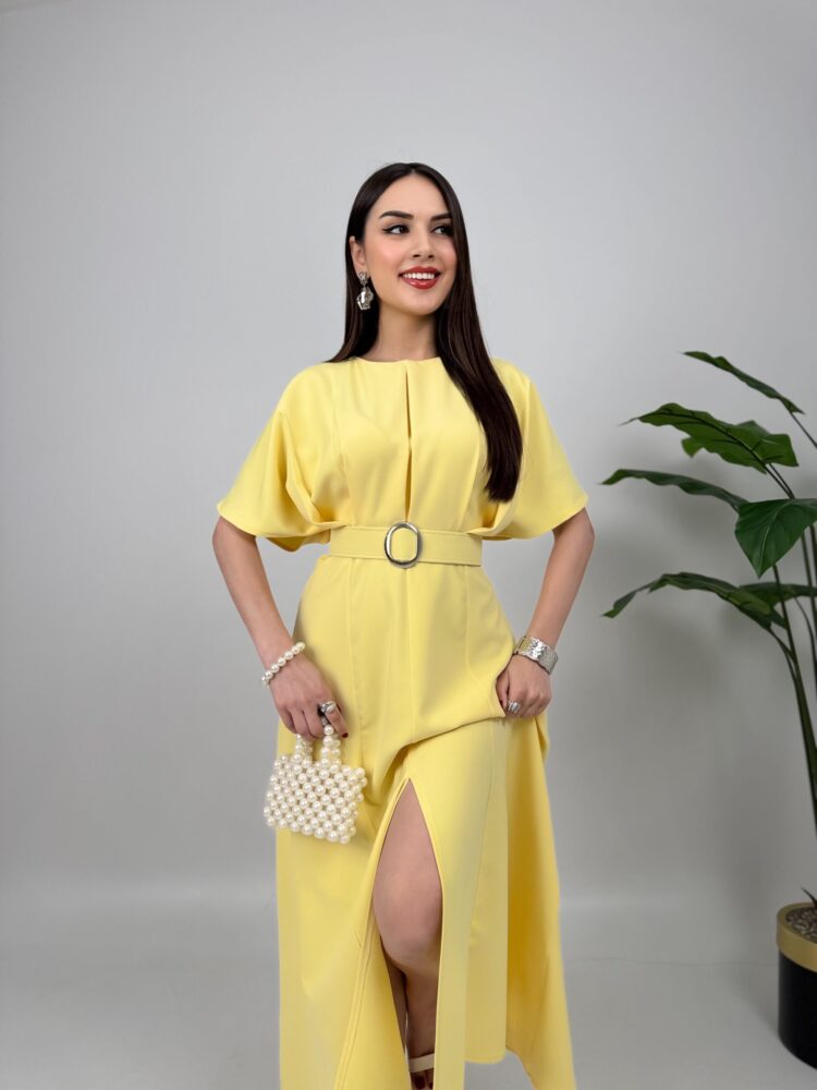 Atlas Fabric Belted Dress