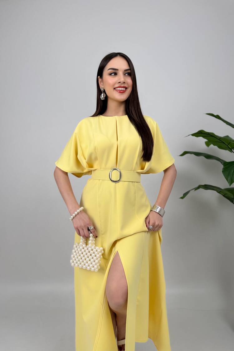 Atlas Fabric Belted Dress