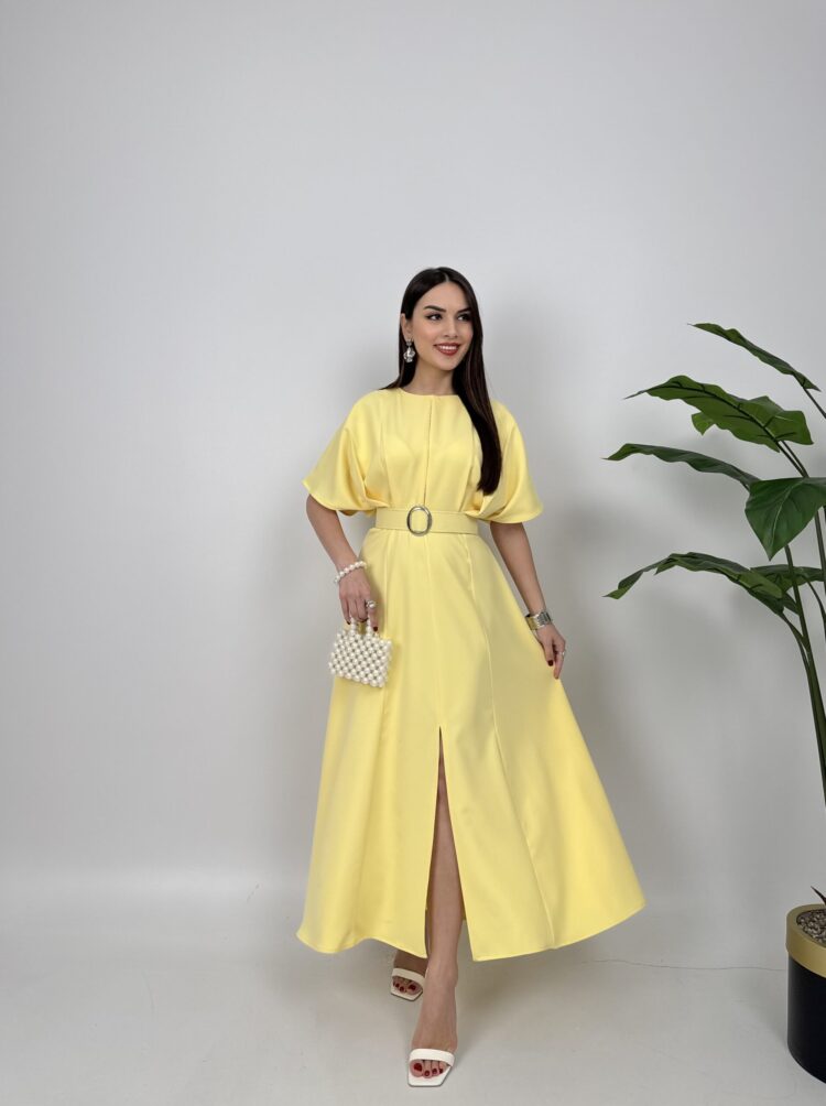 Atlas Fabric Belted Dress