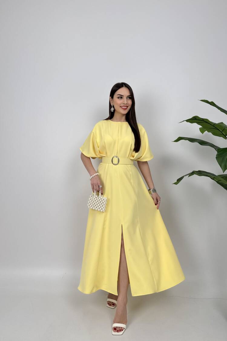 Atlas Fabric Belted Dress