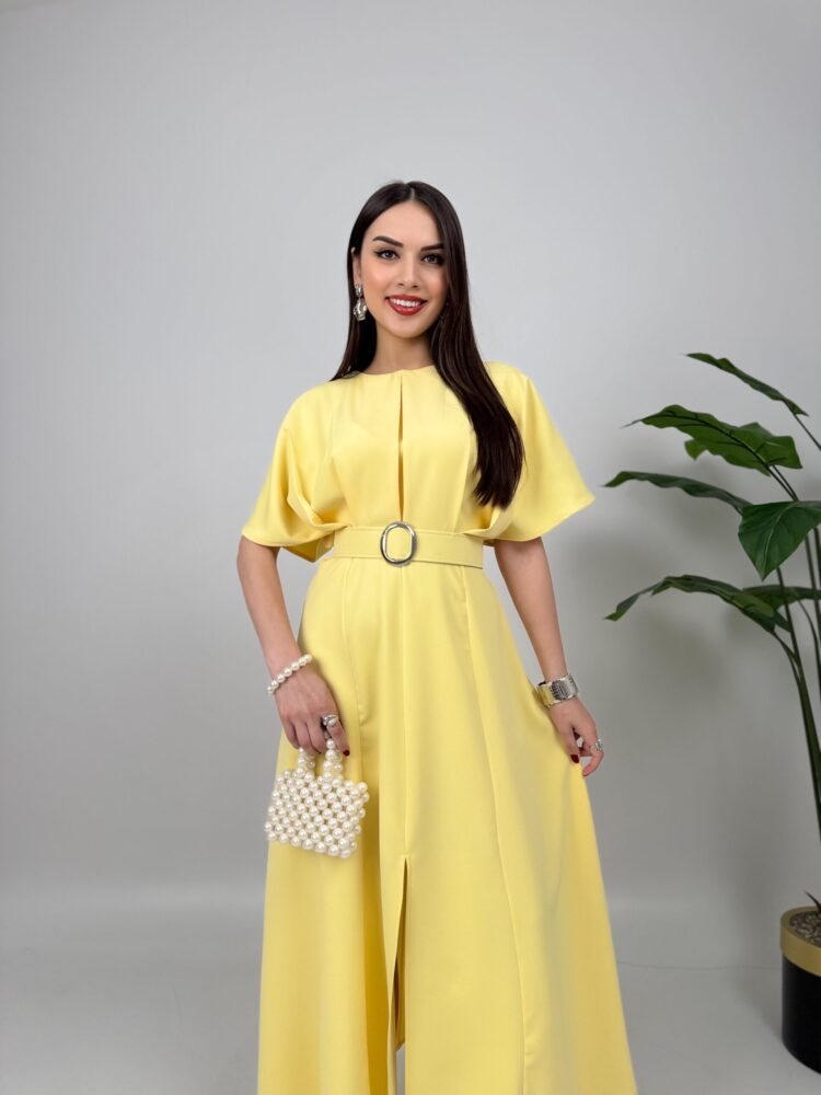 Atlas Fabric Belted Dress