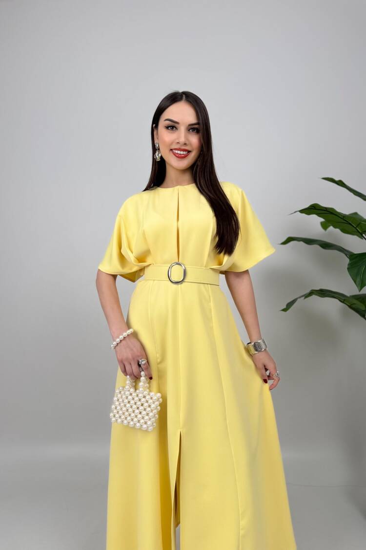 Atlas Fabric Belted Dress