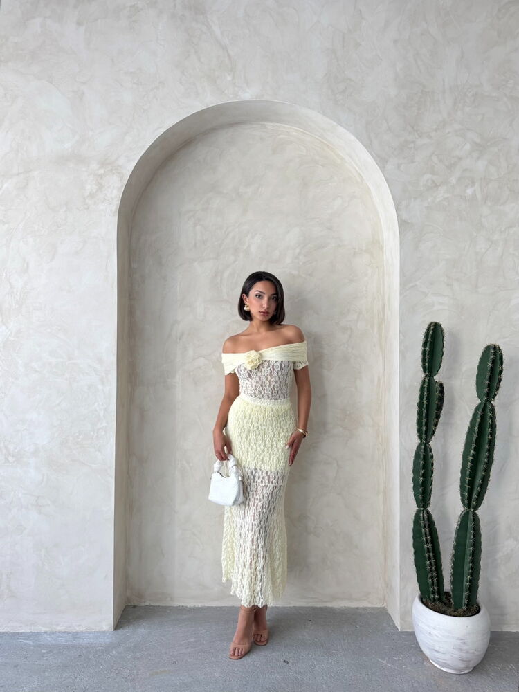 Lace Skirt
