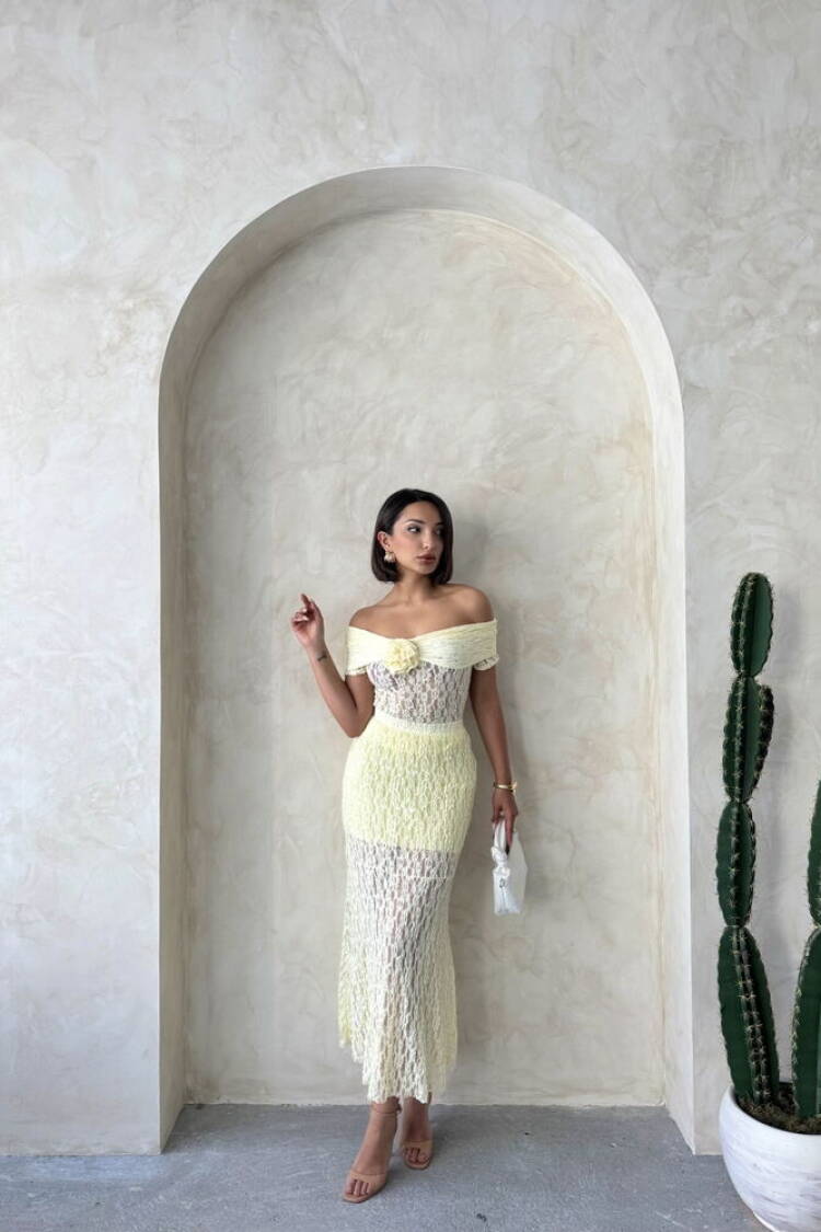 Lace Skirt