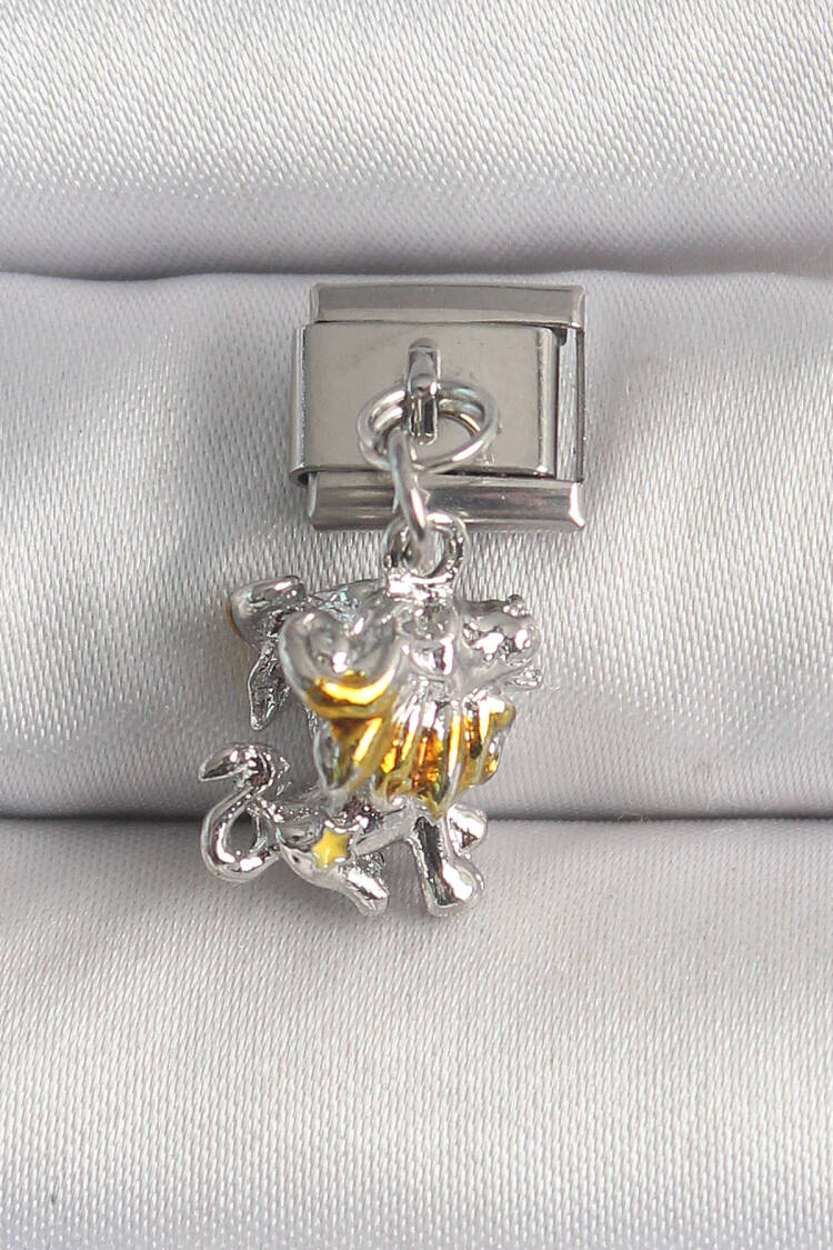 316l Steel Silver Color Rocking Lion Model Nomination Charm - Brand: Ebijuteri - Women's Clothing Wholesale - Globality Store