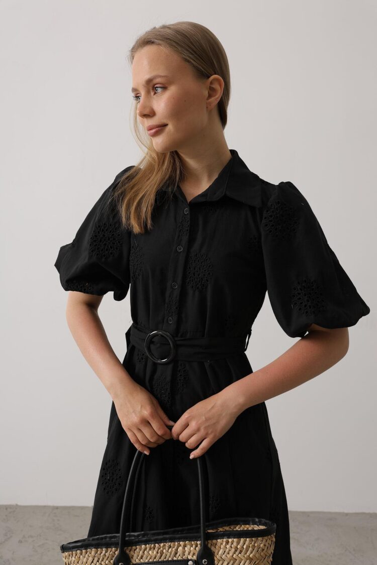 Embroidered Dress With Balloon Sleeve Belt