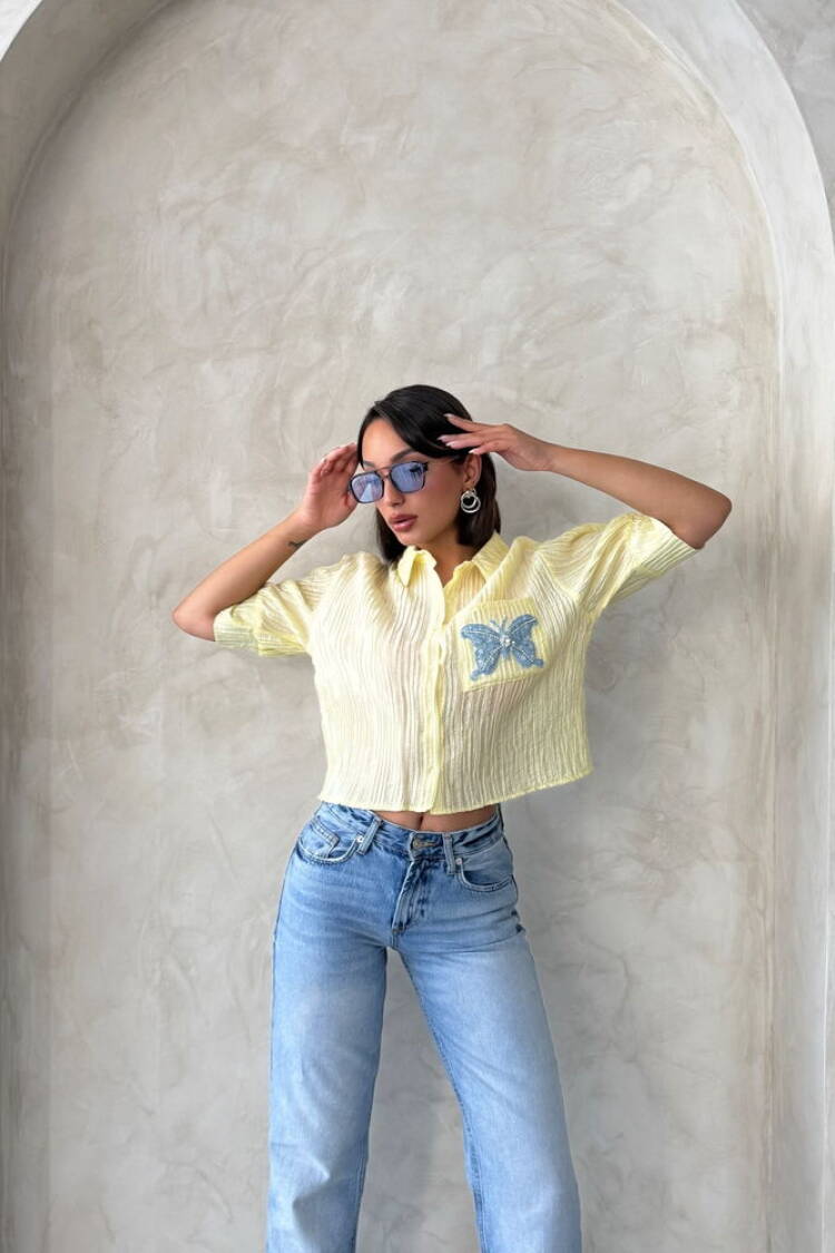 Butterfly Detailed Pleated Shirt