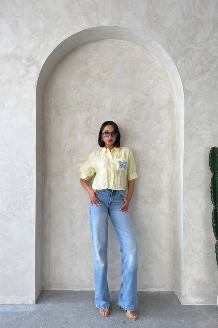 Butterfly Detailed Pleated Shirt
