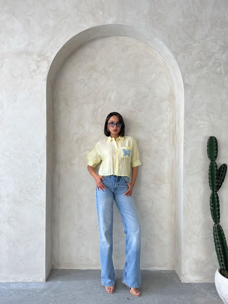 Butterfly Detailed Pleated Shirt