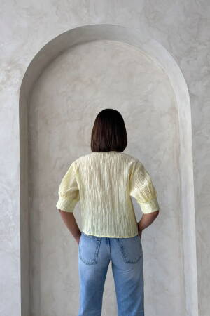 Butterfly Detailed Pleated Shirt - Brand: Topshow - Women's Clothing Wholesale - Globality Store