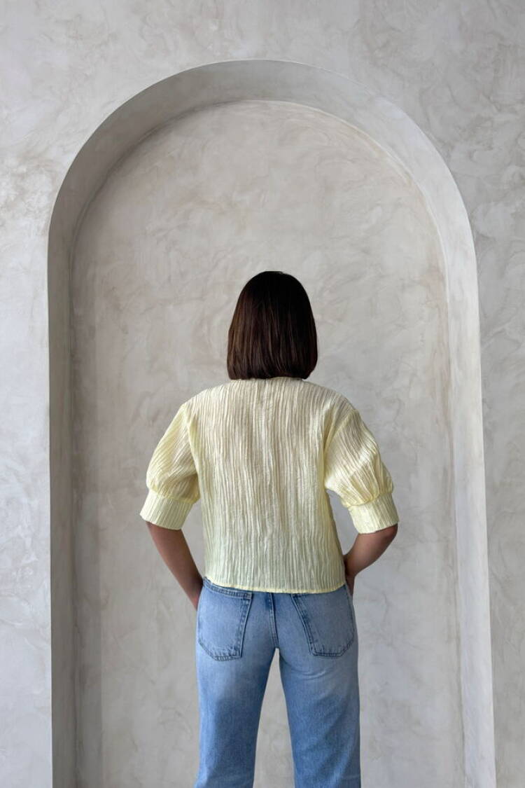 Butterfly Detailed Pleated Shirt