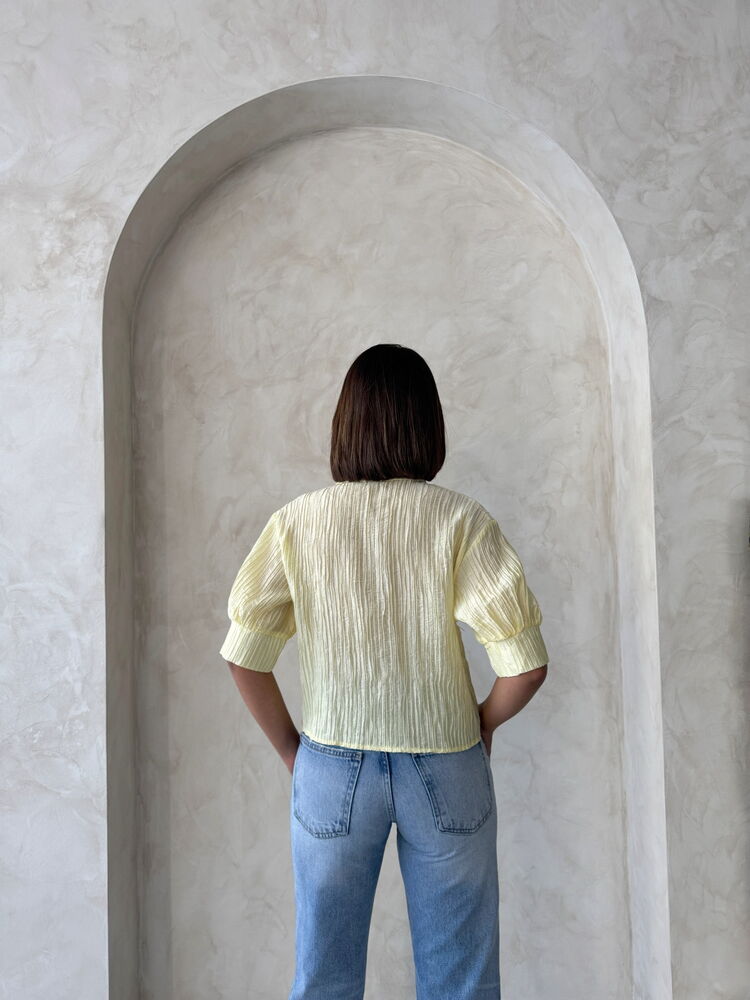 Butterfly Detailed Pleated Shirt