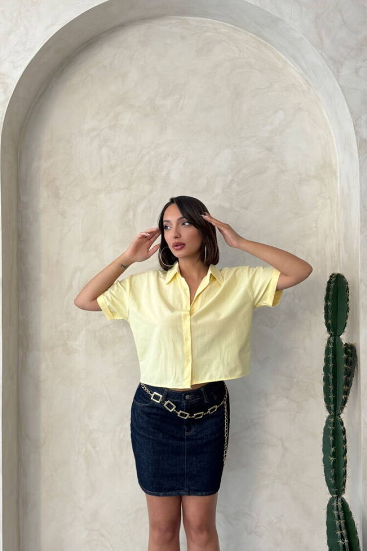 Butterfly Detailed Wholesale Shirt|