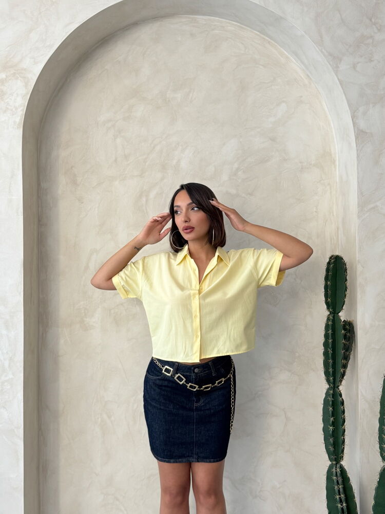 Butterfly Detailed Wholesale Shirt|